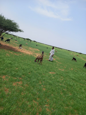 Al Bustan Muhammadiyah