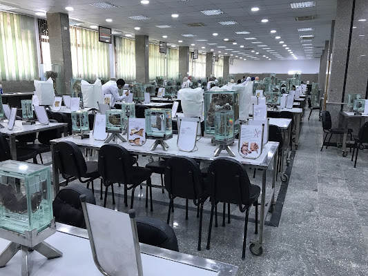 Anatomy Museum - Mansoura Medical School