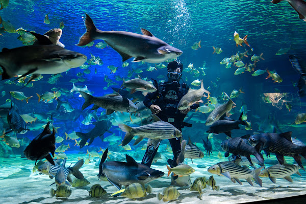 Angkor Wildlife & Aquarium