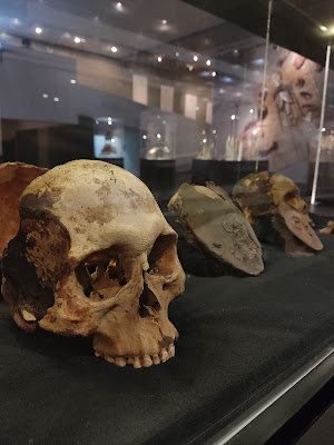 Archaeology Museum San Miguel de Azapa