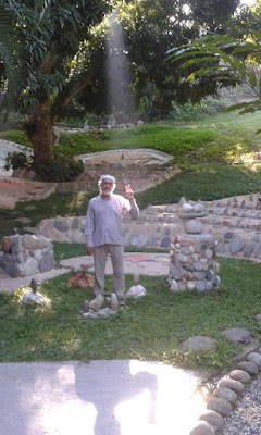 Art Ecological Museum