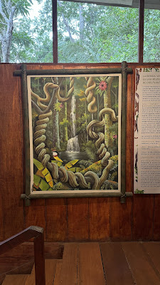 Ayahuasca Museum