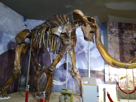 Azovskaya Historic-Archaeological and Paleontological Museum