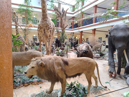 Bait Al Othman Museum