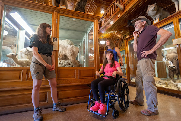 Banff Park Museum National Historic Site