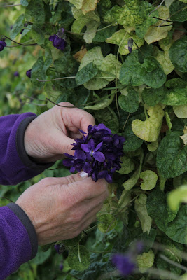 Bastide Aux Violettes (Musée)