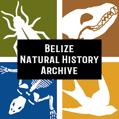 Belize Natural History Archive