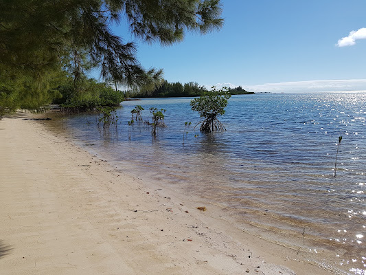 Bimini Biological Field Station