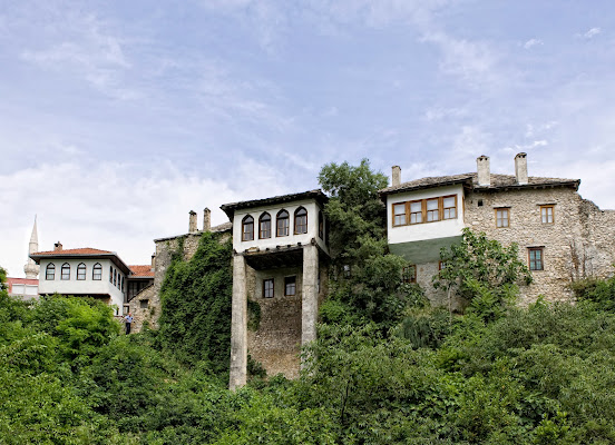 Biscevic House