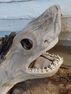 Bjarnarhöfn Shark Museum