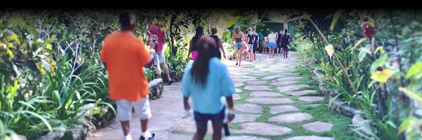 Bob Marley Mausoleum | 9 Mile Reggae Land