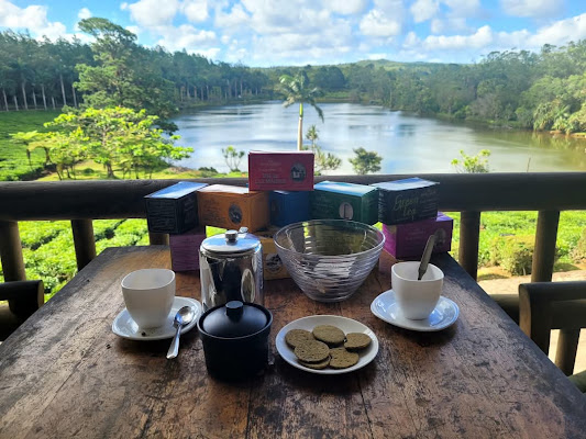 Bois Cheri Tea Factory