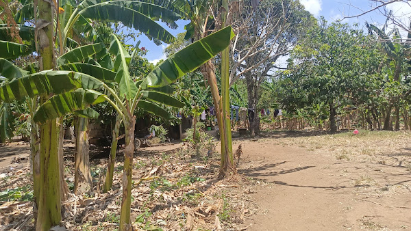 Casa Museo Camilo Ortega