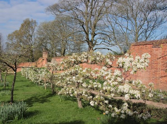 Castle Bromwich Historic Gardens