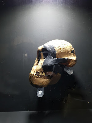 Centro de Ciência de Vila Real