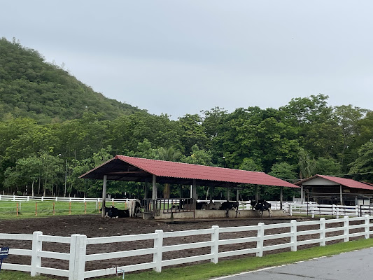 Chang Hua Man Royal Project