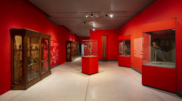 Civic Museum of Natural History