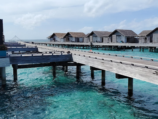 Coralarium at Sirru Fen Fushi Private Lagoon Resort