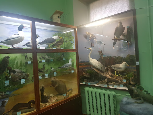 Darovskoy District Museum of Local Lore
