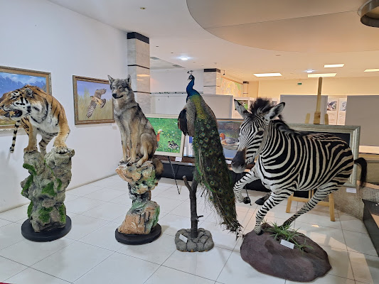 Davlat Tabiat Muzeyi