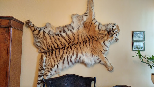 Dom-Muzey V.k.arsen'yeva