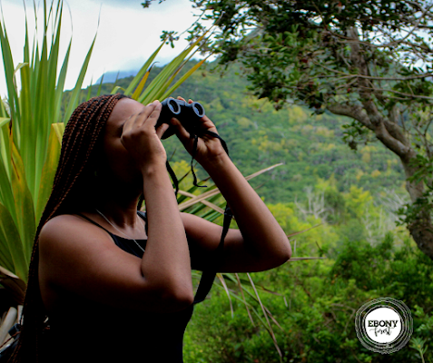 Ebony Forest Reserve Chamarel
