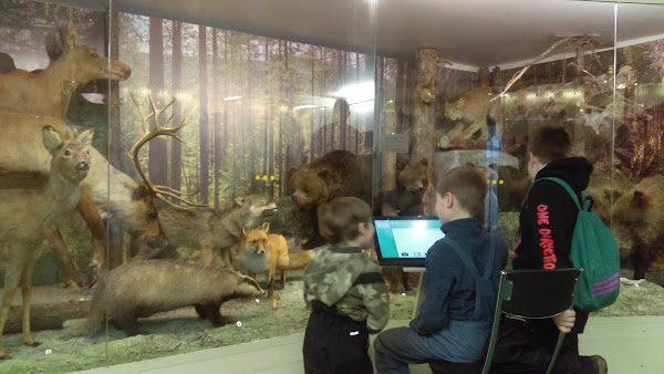 Ekspozitsiya "Priroda Karelii"