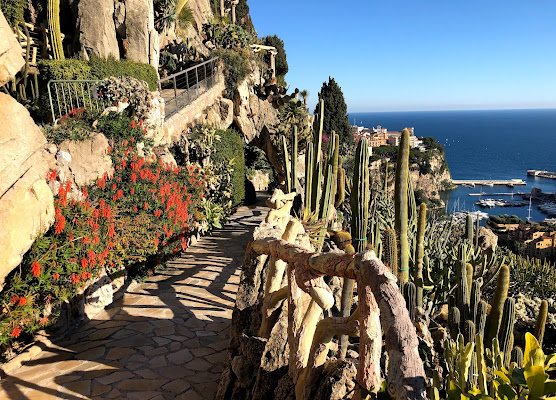 Exotic Garden of Monaco