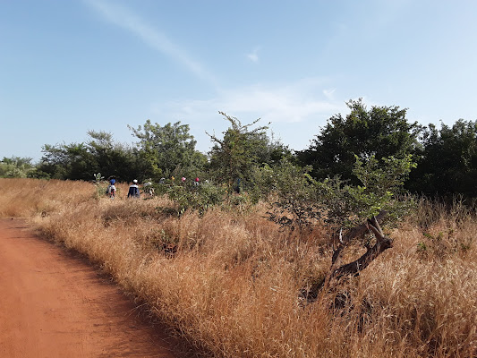 Forêt Bangr-Raaga de Gourga