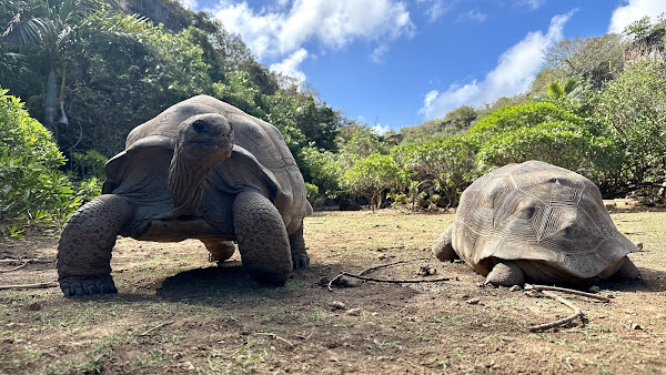 Francois Leguat Reserve Rodrigues