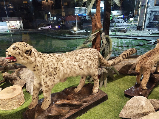 GB Museum and Library, FCNA Gilgit