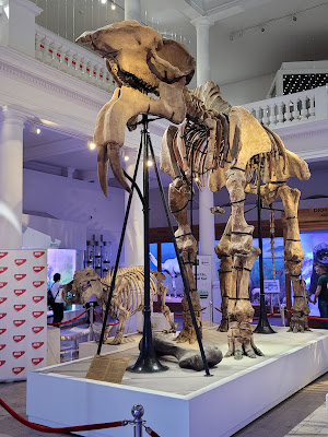 Grigore Antipa National Museum of Natural History