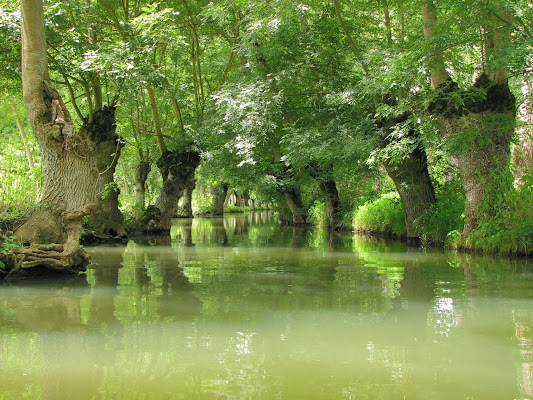 House of the Marais Poitevin