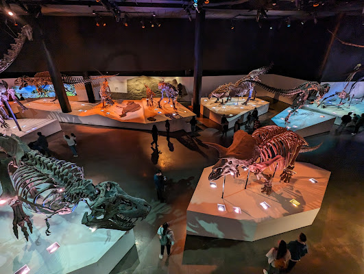 Houston Museum of Natural Science