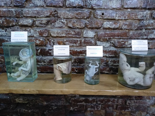 Hrodna Cabinet of Curiosities