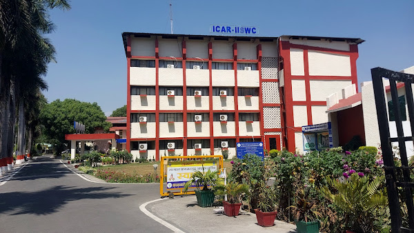 IISWC, Dehradun Museum