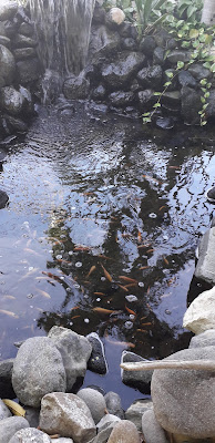 Jamaican Military Museum and Library