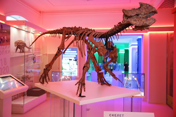 Kemerovo Regional Museum