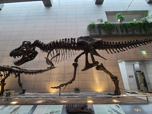 KIGAM Geological Museum