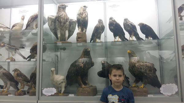 Kirovskiy Gorodskoy Zoologicheskiy Muzey