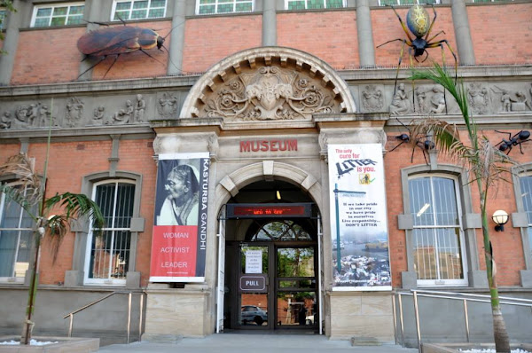 KwaZulu-Natal Museum