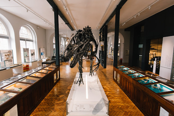 Lapworth Museum of Geology