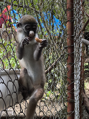 Libassa Wildlife Sanctuary