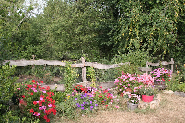 Living Museum of Apiculture