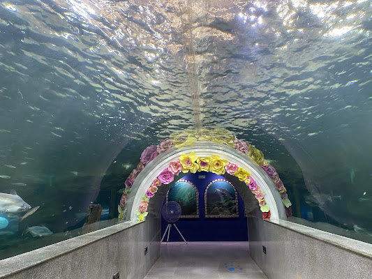 Maekong Underwater World