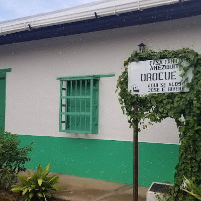 Maelstrom house museum