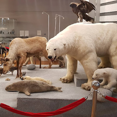 Magadanskiy Oblastnoy Krayevedcheskiy Muzey