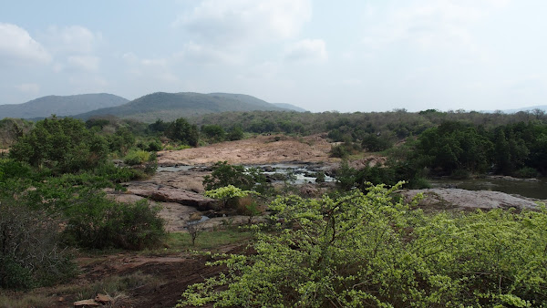 Mbuluzi Game Reserve