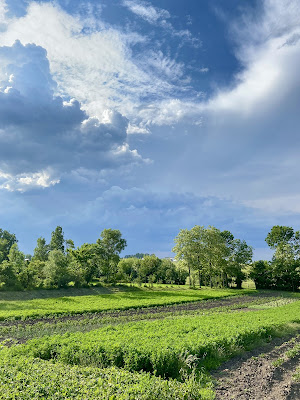 Memorial room museum Denys Sichynskyi