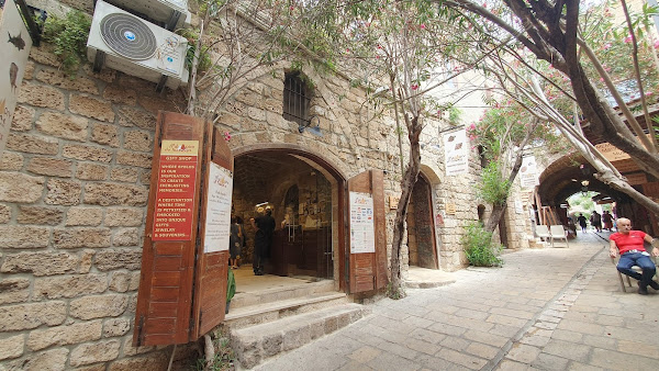 Memory Of Time Fossil Museum